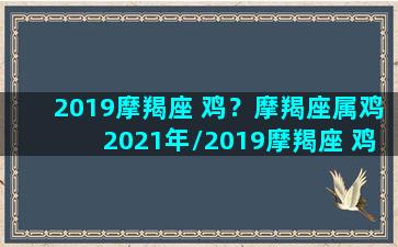 2019摩羯座 鸡？摩羯座属鸡2021年/2019摩羯座 鸡？摩羯座属鸡2021年-我的网站